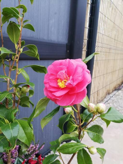 La Petite Maison De Marie Licques 외부 사진